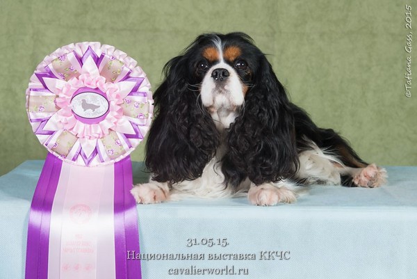 ПОНАРТ ХОЛЛ ВЕНЕЦИЯ КРИСТАЛЛ2  КЧК.jpg